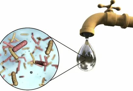 Parásitos en una gota de agua de la grúa